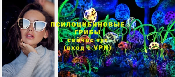 МДПВ Ладушкин