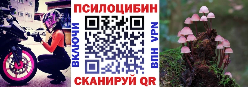 ОМГ ОМГ ссылки  Барыш  Галлюциногенные грибы Cubensis 